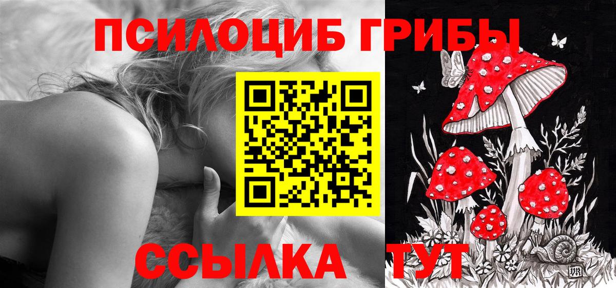 Галлюциногенные грибы Psilocybe  Вход с VPN  Ярославль 